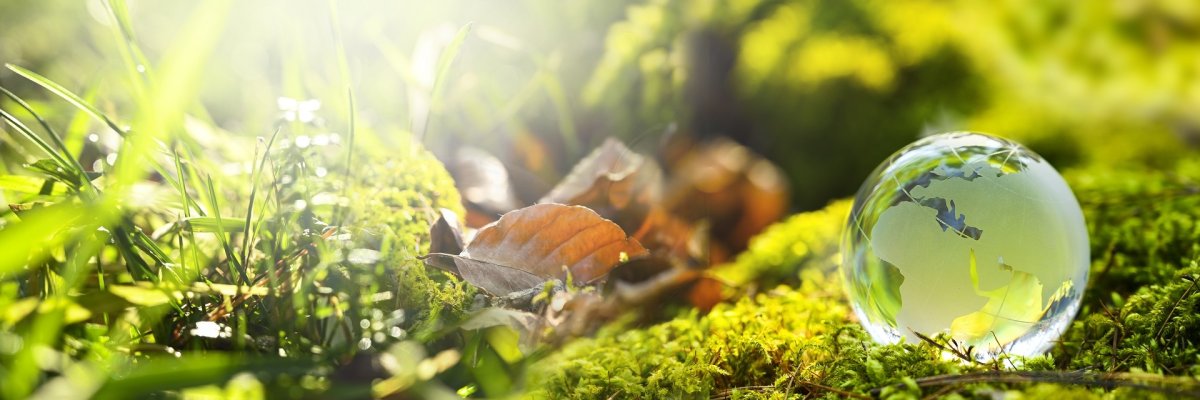 Klima Sonnenlicht fällt durch grünes Gras und Moos auf den Waldboden. Zwischen Blättern und Pflanzen liegt rechts im Bild eine gläserne Kugel mit einer Darstellung der Erde. Das Motiv symbolisiert Natur, Umwelt- und Klimaschutz.