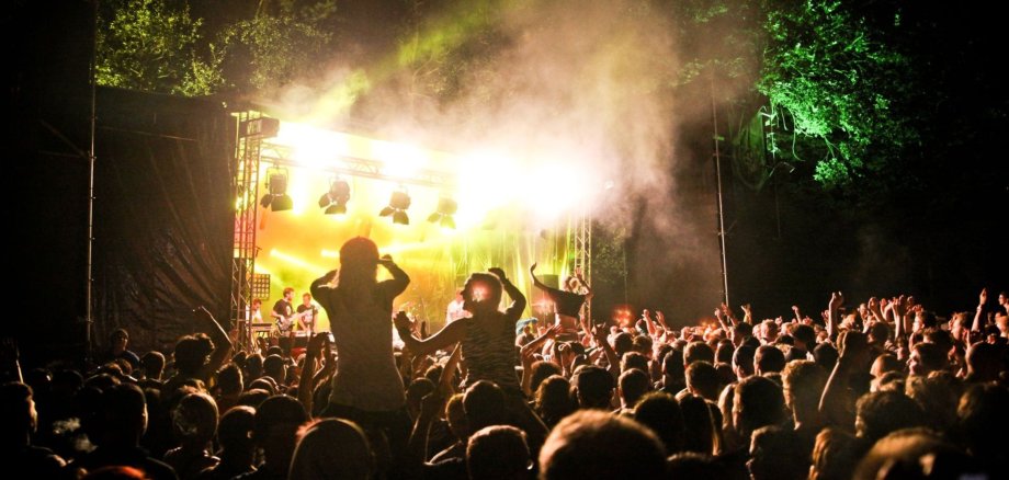 Festivalstimmung. Tausende Menschen stehen vor einer hellbeleuchteten Bühne.