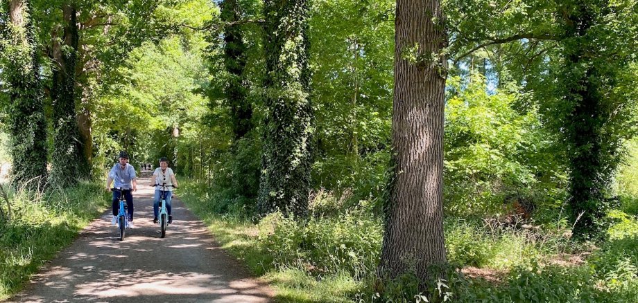 Ein Radfahrer und eine Radfahrerin, die bei sonnigem Wetter durch eine grün blühende Allee fahren. 