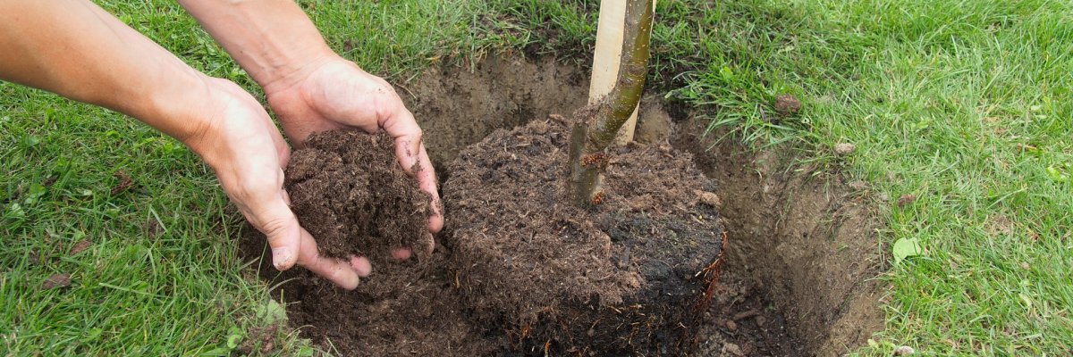 Garten Pflanzloch graben