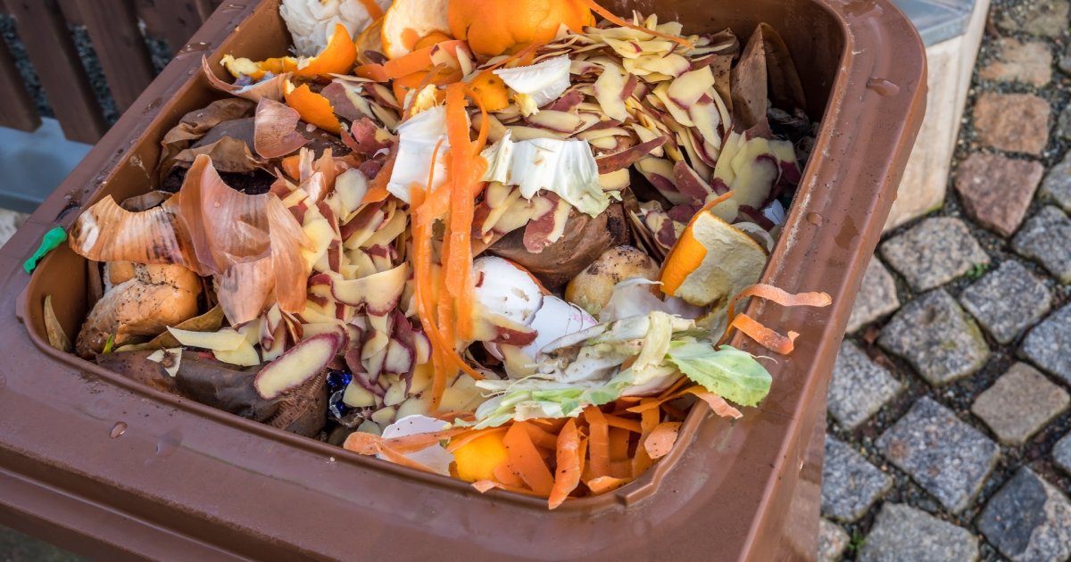 Biotonnen werden leicht verzögert abgeholt | Gemeinde Stemwede