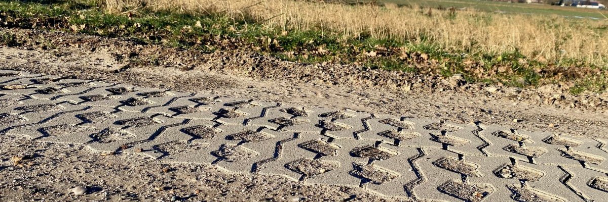 Nahaufnahme eines Seitenrandes eines Wirtschaftsweges.