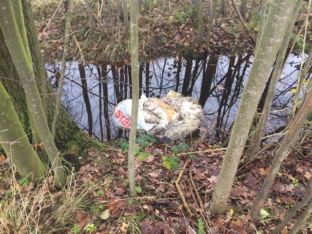 Ein gerissener Sack mit Schaffellen, der in einem Wassergraben liegt.