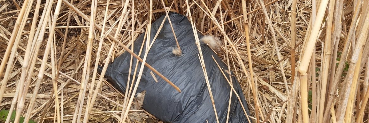 Ein in einem Feld liegender Plastiksack, in dem sich ganz offensichtlich tierische Felle und Überreste befinden.