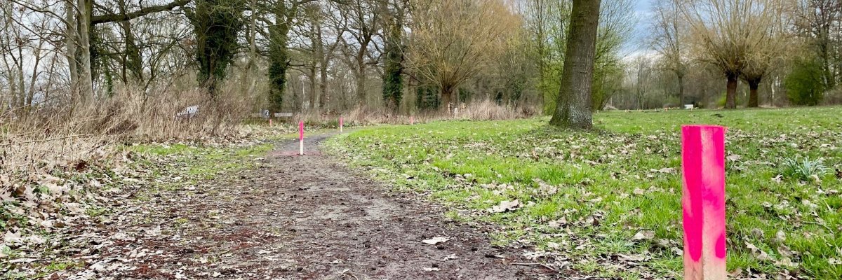 Eine farbige Holzmarkierung steckt in einem Park im Rasen. Im Hintergrund sind weitere Markierungen zu sehen.