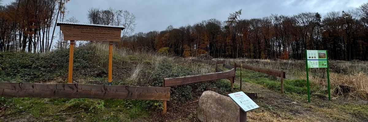 Ein mit Holzzäunen umrandetes Areal in einem Waldstück. Mehrere Hinweisschilder sind zu sehen, auf denen vermutlich Erläuterungen zu diesem Ort stehen.