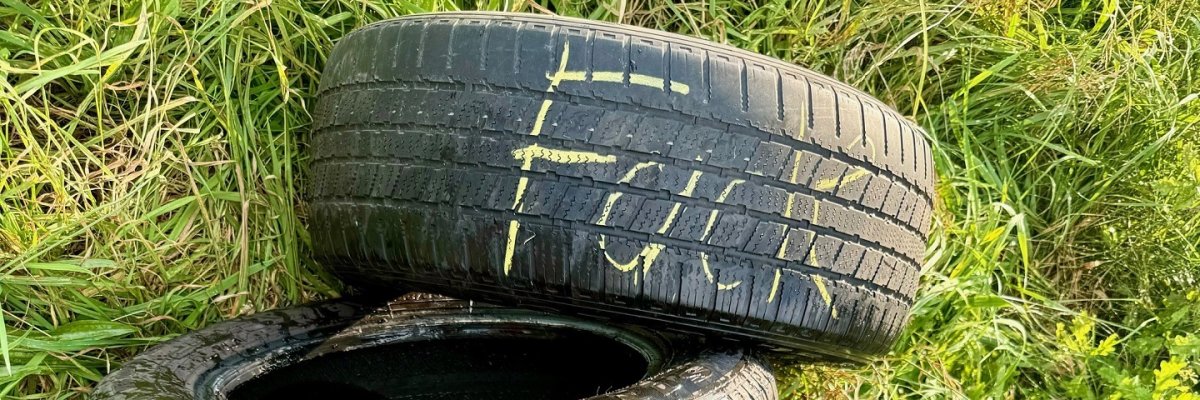 Autoreifen Müll 2024 Mehrere alte Autoreifen, die in einem Graben liegen. Auf einem Autoreifen ist mit gelber Kreide das Wort "Fuck" geschrieben worden.
