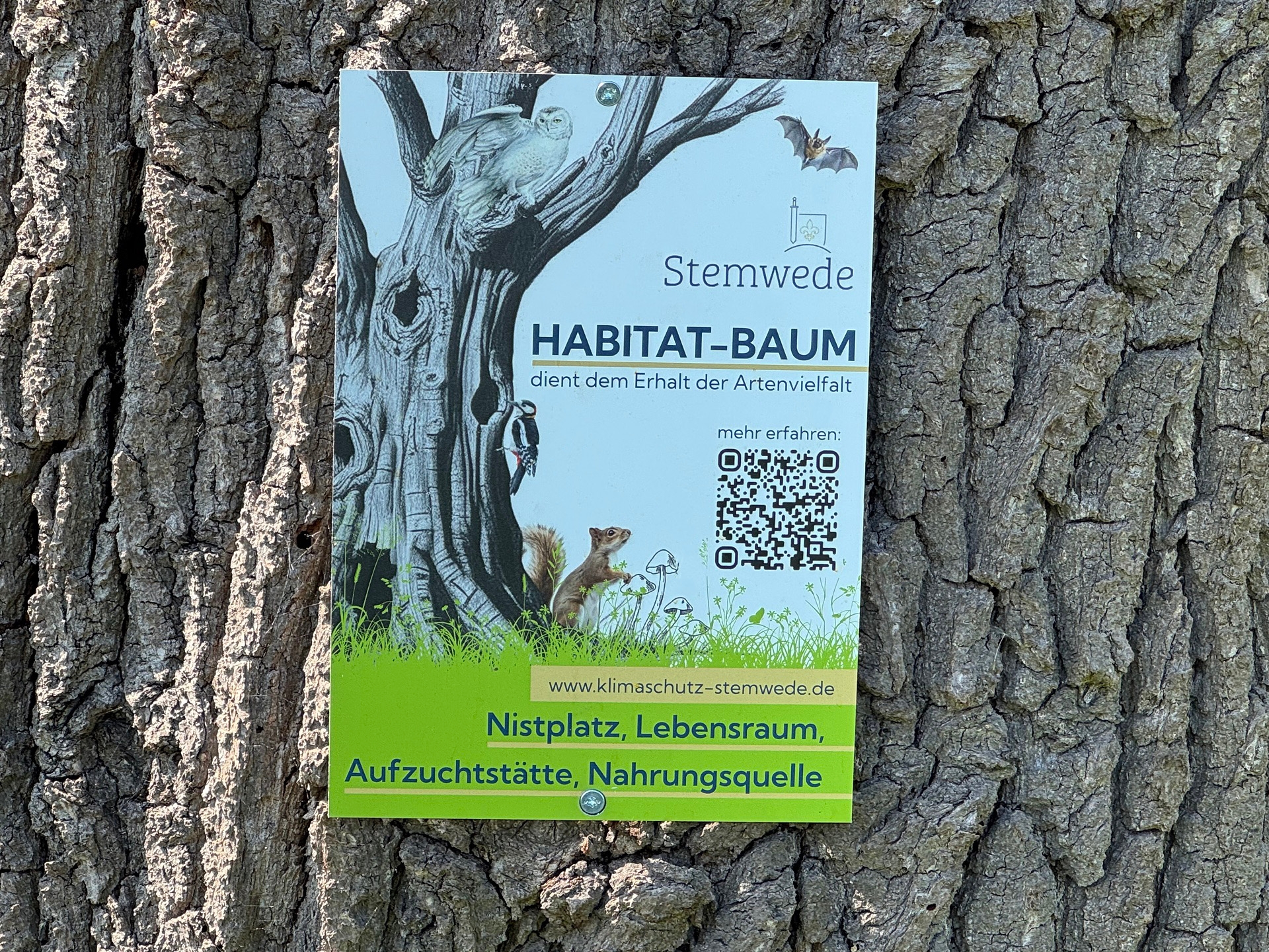 Ein Schild mit der Aufschrift Baum-Habitat und einer Zeichnung eines Baumes und vieler Tiere und Insekten, das an einem Baumstamm angebracht ist.