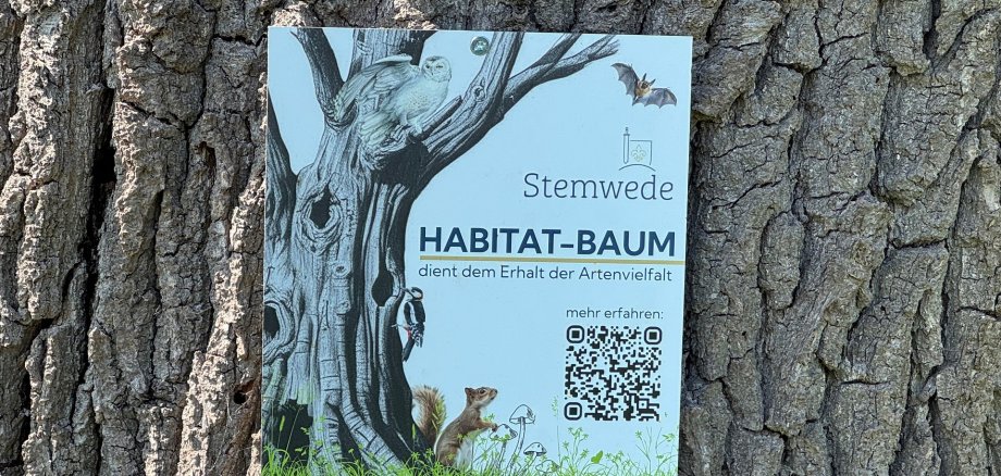 Ein Schild mit der Aufschrift Baum-Habitat und einer Zeichnung eines Baumes und vieler Tiere und Insekten, das an einem Baumstamm angebracht ist.