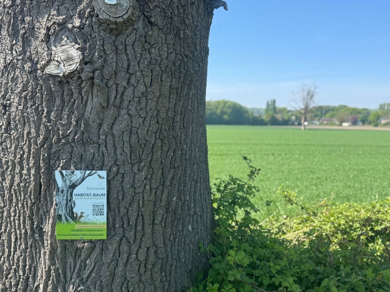 Ein Schild mit der Aufschrift Baum-Habitat und einer Zeichnung eines Baumes und vieler Tiere und Insekten, das an einem Baumstamm angebracht ist.