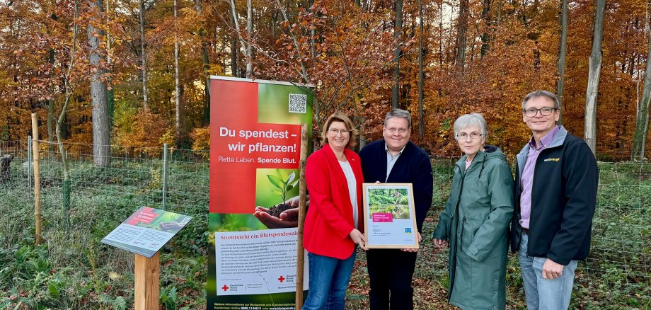 Klimaschutzpreis 2025 Vier Personen stehen im herbstlichen Wald vor einem Infobanner zum Blutspendewald-Projekt des DRK. Zwei Personen in der Mitte halten gemeinsam eine Urkunde. Links steht ein Aufsteller mit Informationen zum Projekt. Im Hintergrund sind junge Bäume und ein geschützter Pflanzbereich zu sehen.
