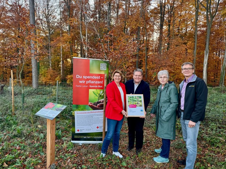 Klimaschutzpreis 2025 Vier Personen stehen im herbstlichen Wald vor einem Infobanner zum Blutspendewald-Projekt des DRK. Zwei Personen in der Mitte halten gemeinsam eine Urkunde. Links steht ein Aufsteller mit Informationen zum Projekt. Im Hintergrund sind junge Bäume und ein geschützter Pflanzbereich zu sehen.