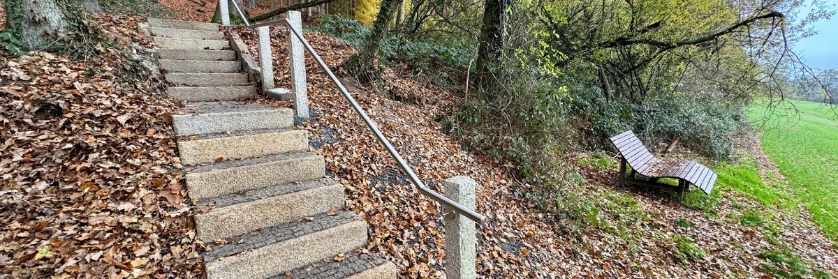 Treppe Westrup Eine Außentreppe aus Betonstufen führt einen Hang hinauf und ist links von herbstlichen Bäumen und rechts von dichtem Gebüsch umgeben. Ein schlichtes Metallgeländer verläuft entlang der Treppe. Rechts neben der Treppe steht auf einer kleinen freien Fläche eine hölzerne Liegebank mit Blick ins offene, grüne Feld. Der Boden ist mit vielen bunten Herbstblättern bedeckt.