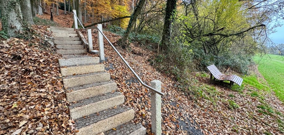 Treppe Westrup Eine Außentreppe aus Betonstufen führt einen Hang hinauf und ist links von herbstlichen Bäumen und rechts von dichtem Gebüsch umgeben. Ein schlichtes Metallgeländer verläuft entlang der Treppe. Rechts neben der Treppe steht auf einer kleinen freien Fläche eine hölzerne Liegebank mit Blick ins offene, grüne Feld. Der Boden ist mit vielen bunten Herbstblättern bedeckt.