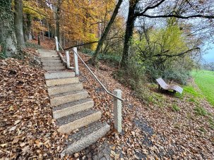 Treppe Westrup Eine Außentreppe aus Betonstufen führt einen Hang hinauf und ist links von herbstlichen Bäumen und rechts von dichtem Gebüsch umgeben. Ein schlichtes Metallgeländer verläuft entlang der Treppe. Rechts neben der Treppe steht auf einer kleinen freien Fläche eine hölzerne Liegebank mit Blick ins offene, grüne Feld. Der Boden ist mit vielen bunten Herbstblättern bedeckt.