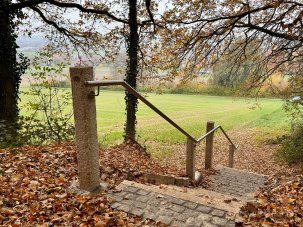 Treppe in Westrup Eine Außentreppe aus Naturstein führt einen Hang hinunter und ist von herbstlich gefärbten Bäumen umgeben. Ein schlichtes Metallgeländer ist an massiven Steinpfosten befestigt. Auf dem Boden liegen viele gefallene Blätter. Im Hintergrund erstrecken sich offene Felder und eine leicht hügelige Landschaft mit einigen Häusern in der Ferne.