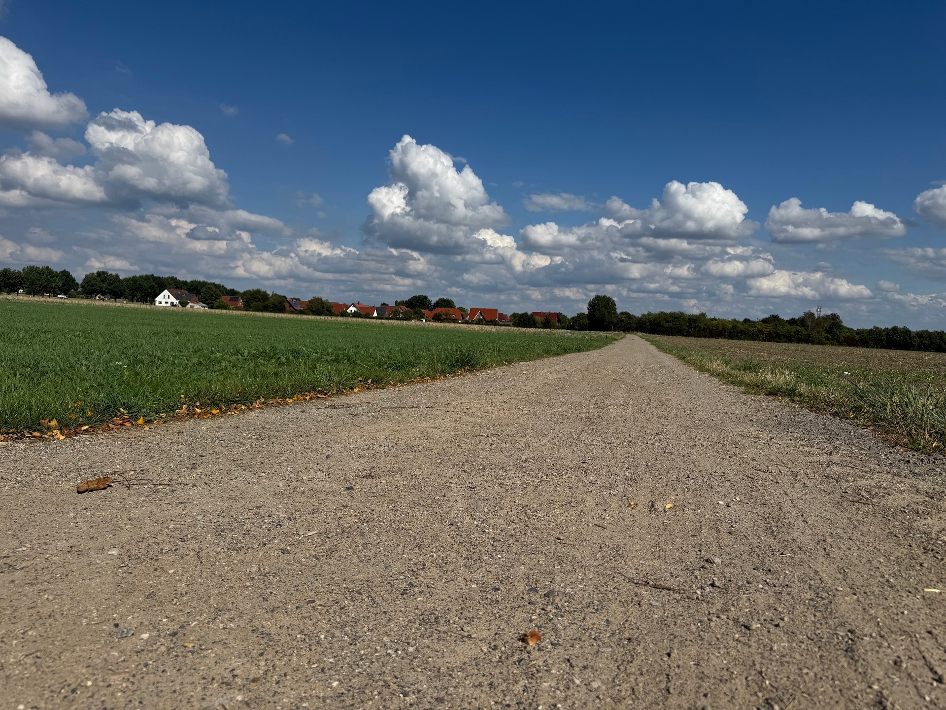 Ein breiter, unbefestigter Feldweg führt geradeaus durch eine grüne Landschaft. Links und rechts liegen Wiesen und Felder, am Horizont sind rote Dächer und weiße Häuser eines Dorfes zu sehen. Darüber ein blauer Himmel mit großen weißen Wolken.