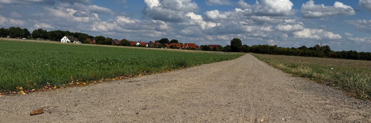 Alternativroute Wickenkamp Ein breiter, unbefestigter Feldweg führt geradeaus durch eine grüne Landschaft. Links und rechts liegen Wiesen und Felder, am Horizont sind rote Dächer und weiße Häuser eines Dorfes zu sehen. Darüber ein blauer Himmel mit großen weißen Wolken.