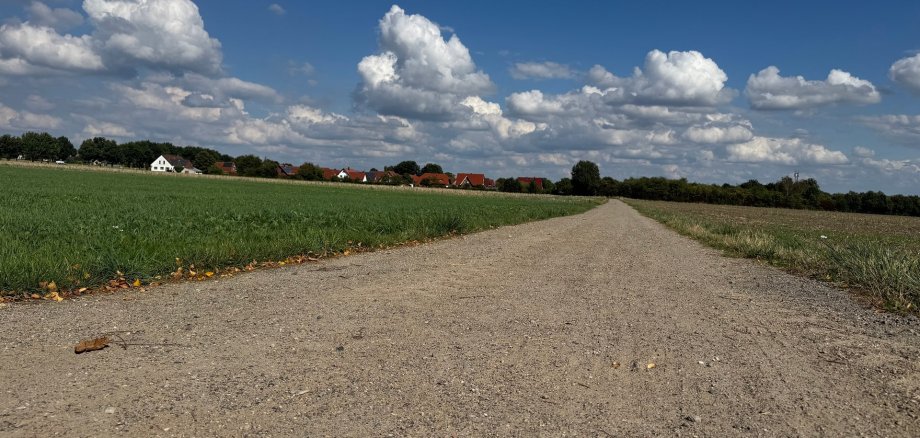 Alternativroute Wickenkamp Ein breiter, unbefestigter Feldweg führt geradeaus durch eine grüne Landschaft. Links und rechts liegen Wiesen und Felder, am Horizont sind rote Dächer und weiße Häuser eines Dorfes zu sehen. Darüber ein blauer Himmel mit großen weißen Wolken.