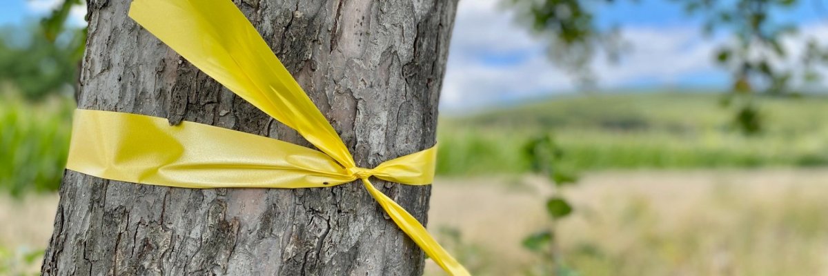 Aktion "Gelbes Band" Ein gelbes Band, das um einen Baumstamm gewickelt ist.