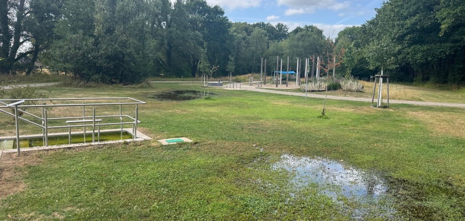 Vandalismus Kurpark Blick über eine weitläufige Grünfläche im Kurpark mit mehreren Wasserpfützen auf dem Rasen. Links befindet sich ein barrierefreier Zugang mit Edelstahlgeländern zu einem Wasserbecken. Im Hintergrund sind ein Spiel- und Bewegungsbereich, Wege sowie zahlreiche Bäume zu sehen. Der Himmel ist blau mit großen weißen Wolken. Die Pfützen auf der Wiese deuten auf einen Wasseraustritt oder starke Nässe hin.