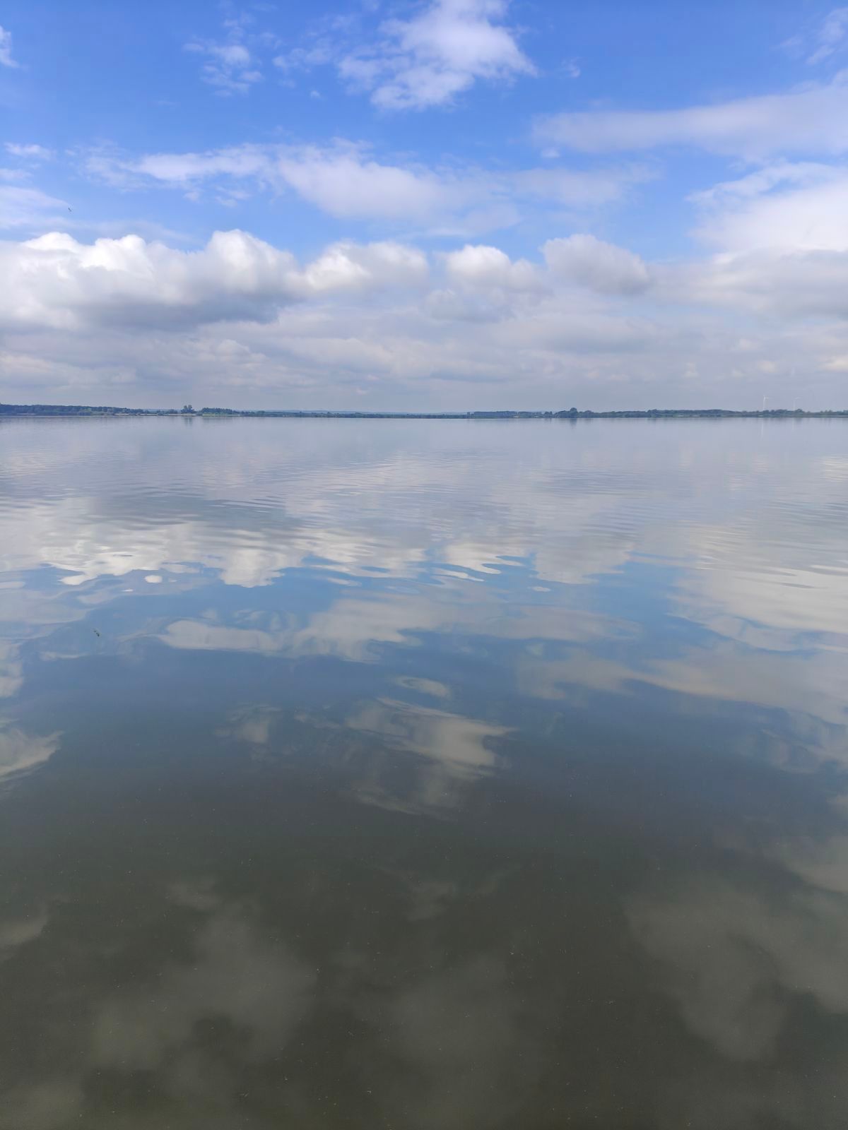 Dümmer Eine Aufnahme eines Sees.